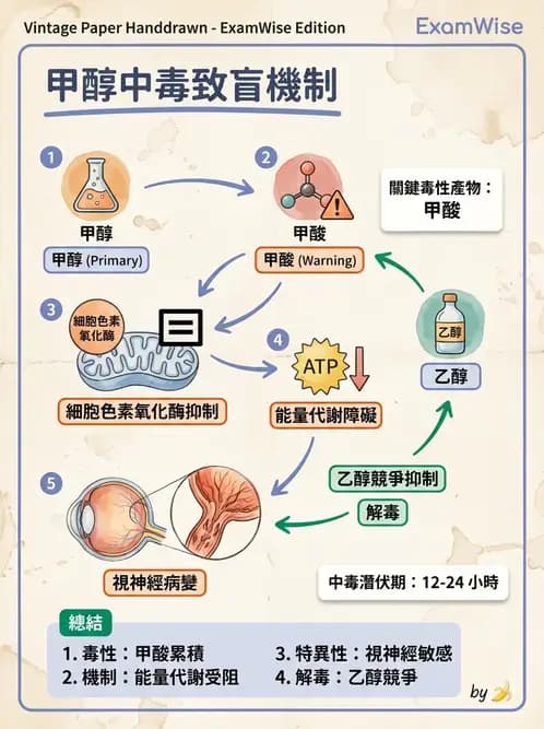 醫檢師 - 物理和化學傷害及營養疾病 - AI 圖文解析預覽