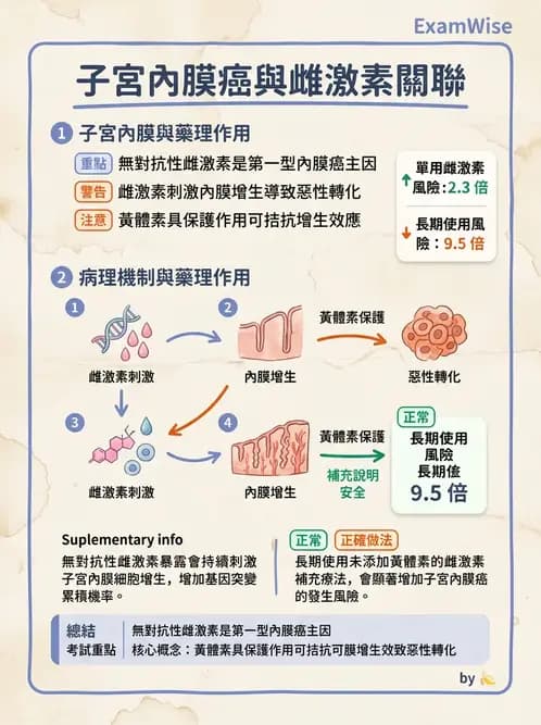 醫檢師 - 乳房及女性生殖疾病 - AI 圖文解析預覽