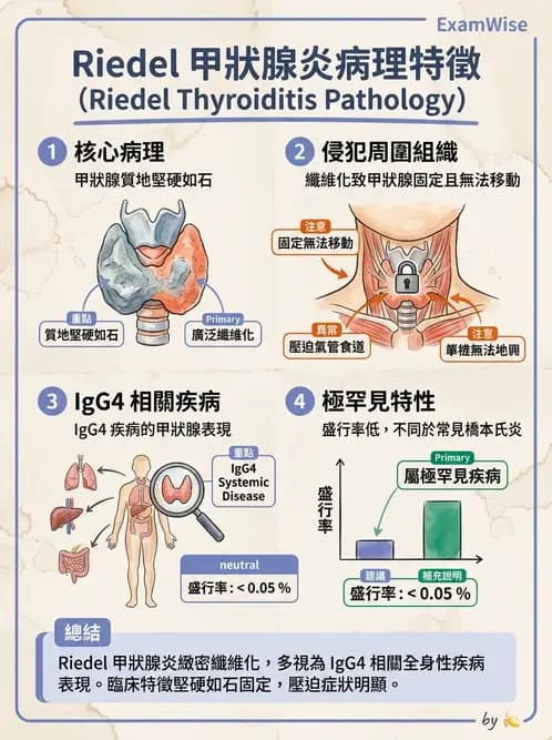 醫檢師 - 內分泌疾病 - AI 圖文解析預覽