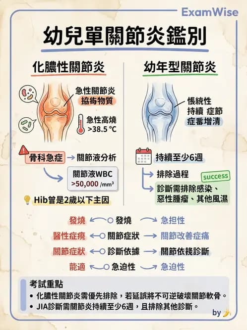 醫檢師 - 骨骼及軟組織疾病 - AI 圖文解析預覽