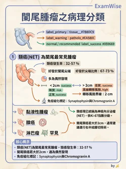 醫檢師 - 消化肝膽疾病 - AI 圖文解析預覽