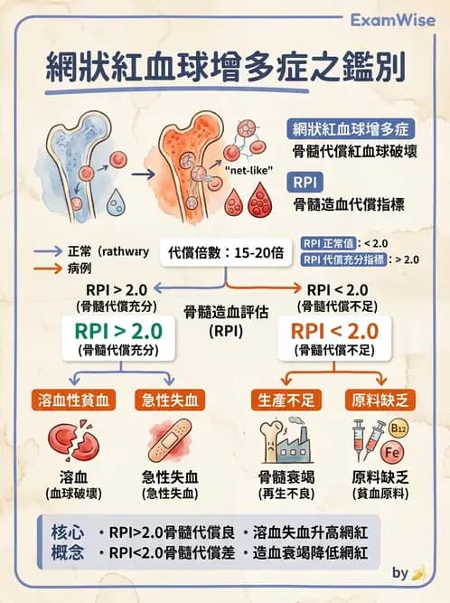 醫檢師 - 溶血性貧血與血色素病變 - AI 圖文解析預覽