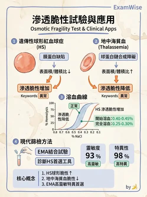 醫檢師 - 溶血性貧血與血色素病變 - AI 圖文解析預覽