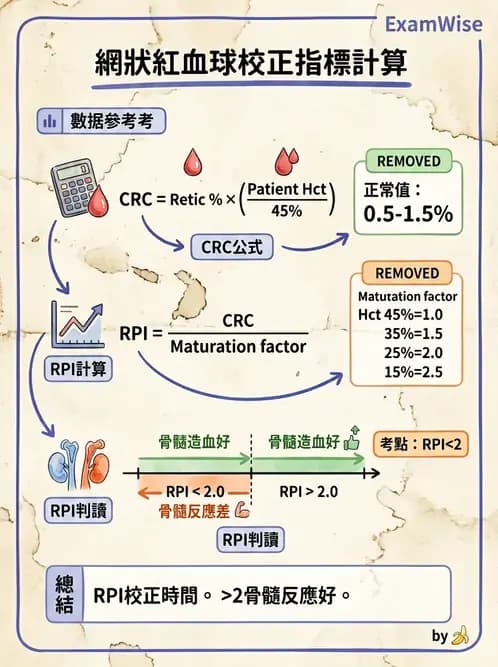 醫檢師 - 貧血診斷與營養缺乏性貧血 - AI 圖文解析預覽