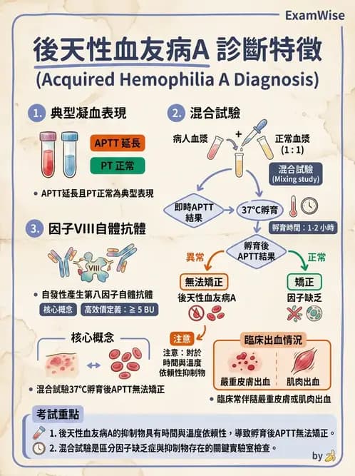 醫檢師 - 出血性疾病與檢驗 - AI 圖文解析預覽