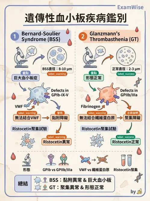 醫檢師 - 出血性疾病與檢驗 - AI 圖文解析預覽