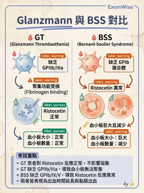 醫檢師 - 出血性疾病與檢驗 - AI 圖文解析預覽