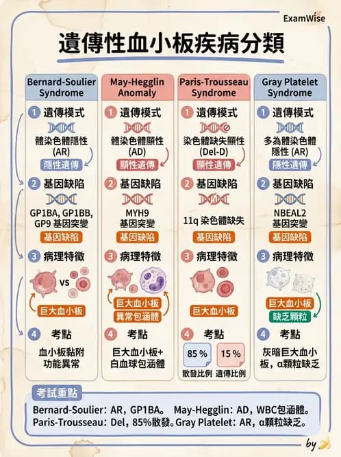 醫檢師 - 出血性疾病與檢驗 - AI 圖文解析預覽