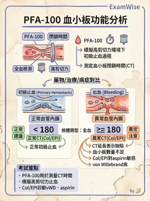 醫檢師 - 血小板與止血生理 - AI 圖文解析預覽