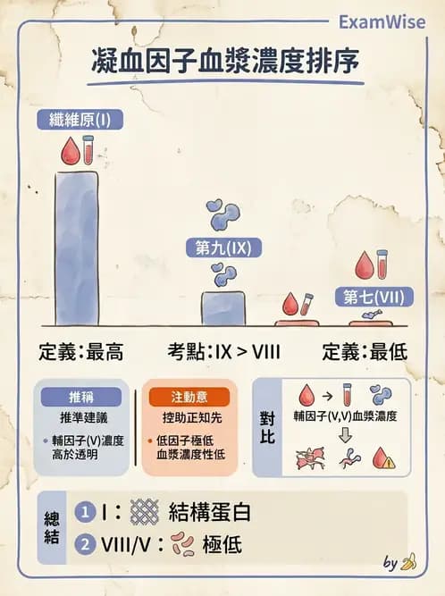 醫檢師 - 凝血因子與凝血檢驗 - AI 圖文解析預覽