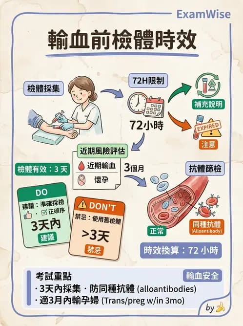 醫檢師 - 血液成分製備與輸血檢查 - AI 圖文解析預覽