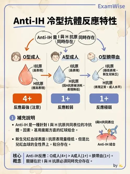 醫檢師 - 紅血球抗原與血型系統 - AI 圖文解析預覽