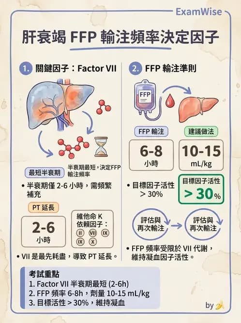 醫檢師 - 血液成分製備與輸血檢查 - AI 圖文解析預覽