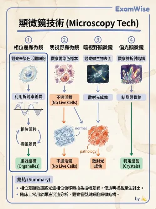 醫檢師 - 顯微鏡原理與操作 - AI 圖文解析預覽
