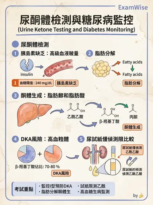 醫檢師 - 尿液化學檢驗 - AI 圖文解析預覽