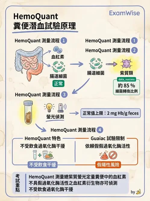 醫檢師 - 糞便常規檢查 - AI 圖文解析預覽