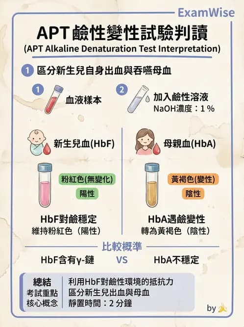 醫檢師 - 糞便常規檢查 - AI 圖文解析預覽