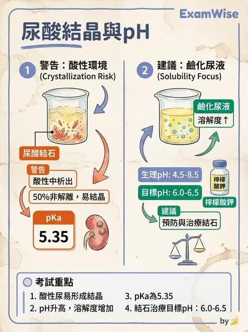 醫檢師 - 尿沉渣鏡檢與物理檢查 - AI 圖文解析預覽