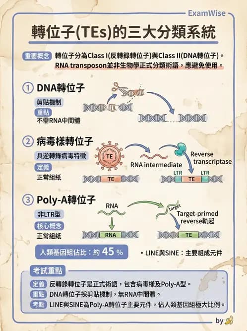 醫檢師 - 基礎分子生物學 - AI 圖文解析預覽