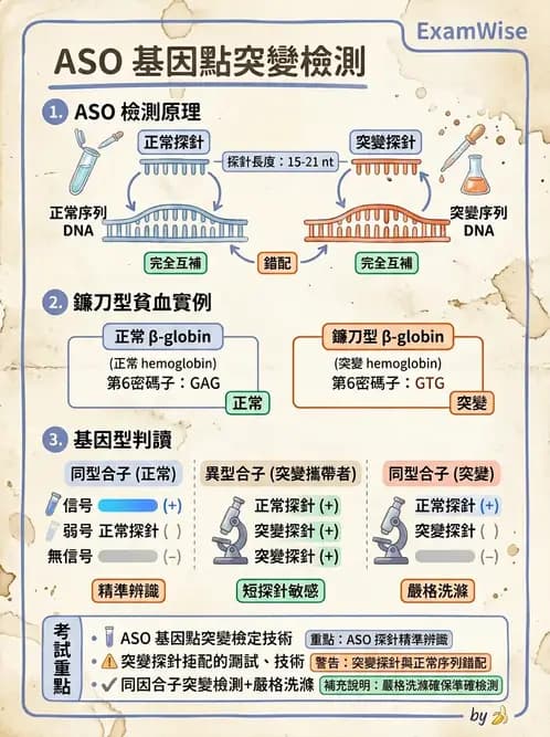 醫檢師 - 雜交探針與晶片技術 - AI 圖文解析預覽