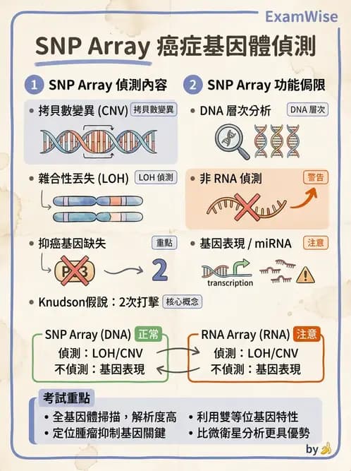 醫檢師 - 腫瘤疾病基因檢測 - AI 圖文解析預覽