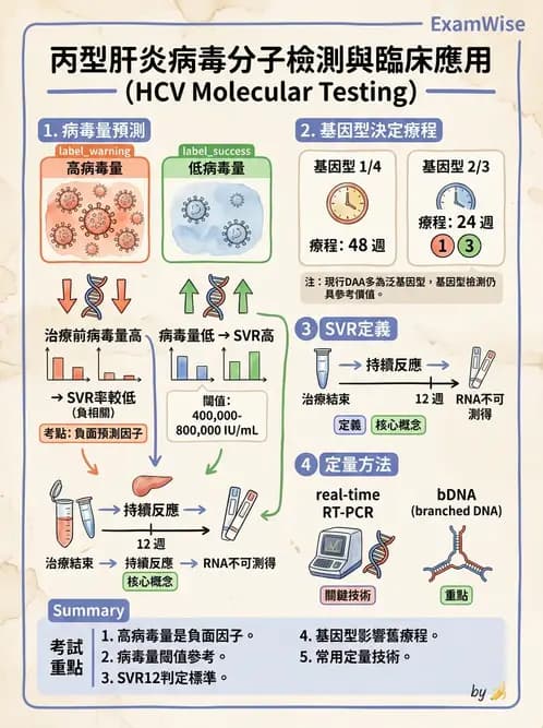 醫檢師 - 感染症分子檢驗 - AI 圖文解析預覽
