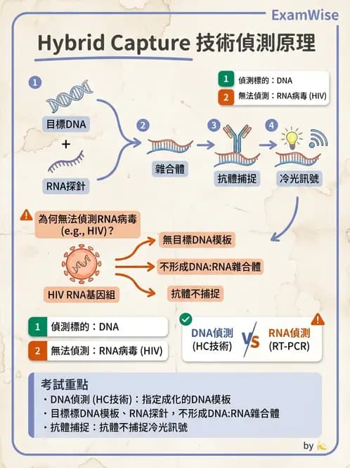 醫檢師 - 感染症分子檢驗 - AI 圖文解析預覽