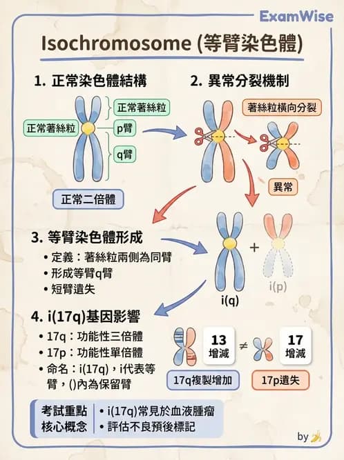 醫檢師 - 遺傳疾病基因檢測 - AI 圖文解析預覽