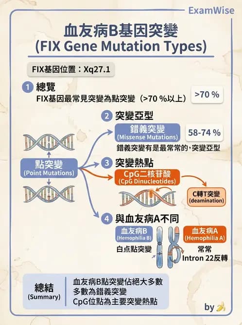 醫檢師 - 遺傳疾病基因檢測 - AI 圖文解析預覽