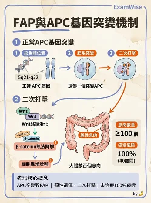 醫檢師 - 腫瘤疾病基因檢測 - AI 圖文解析預覽