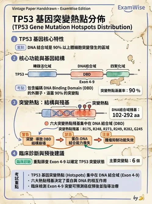 醫檢師 - 腫瘤疾病基因檢測 - AI 圖文解析預覽
