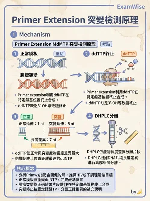 醫檢師 - 定序電泳與表觀分析 - AI 圖文解析預覽