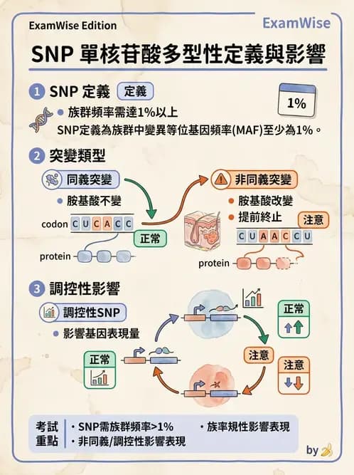 醫檢師 - 基礎分子生物學 - AI 圖文解析預覽