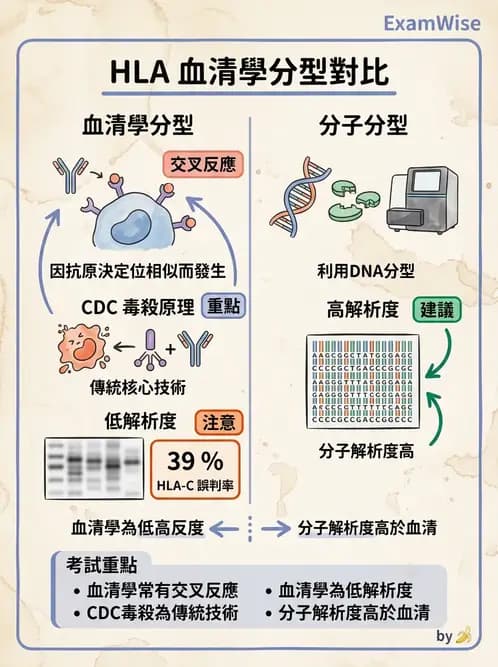 醫檢師 - 分子鑑定與應用技術 - AI 圖文解析預覽