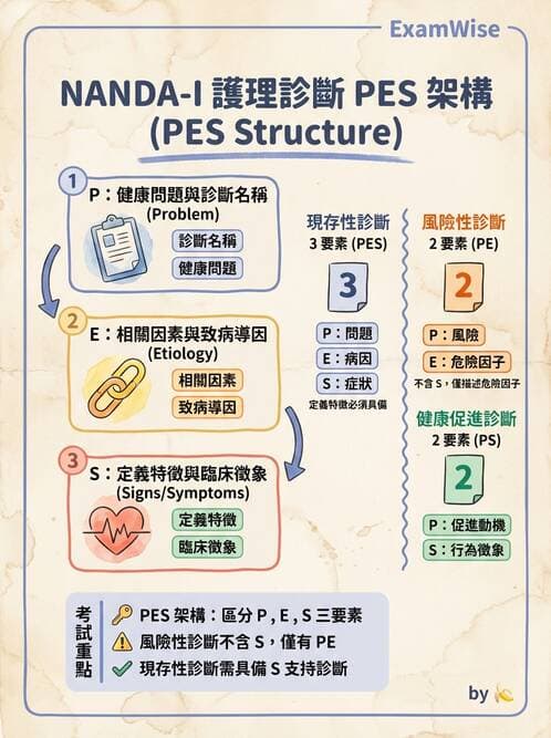 護理師 - 護理過程(評估至評值) - AI 圖文解析預覽