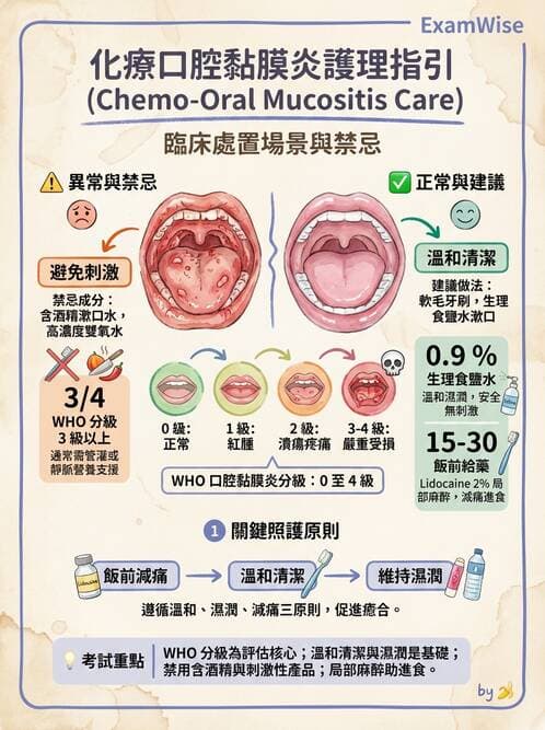 護理師 - 個人衛生與舒適照護 - AI 圖文解析預覽