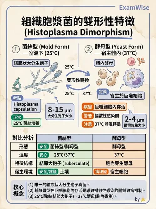 醫檢師 - 系統性與機會性真菌感染 - AI 圖文解析預覽