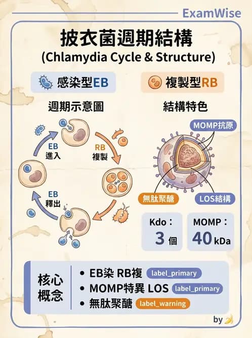 醫檢師 - 特殊病原體 - AI 圖文解析預覽