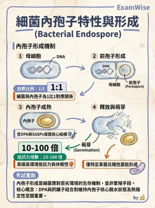 醫檢師 - 實驗室安全與微生物特性 - AI 圖文解析預覽
