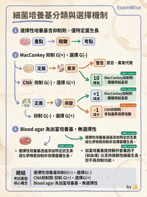 醫檢師 - 檢驗基礎技術 - AI 圖文解析預覽