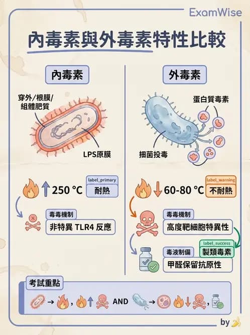 醫檢師 - 實驗室安全與微生物特性 - AI 圖文解析預覽