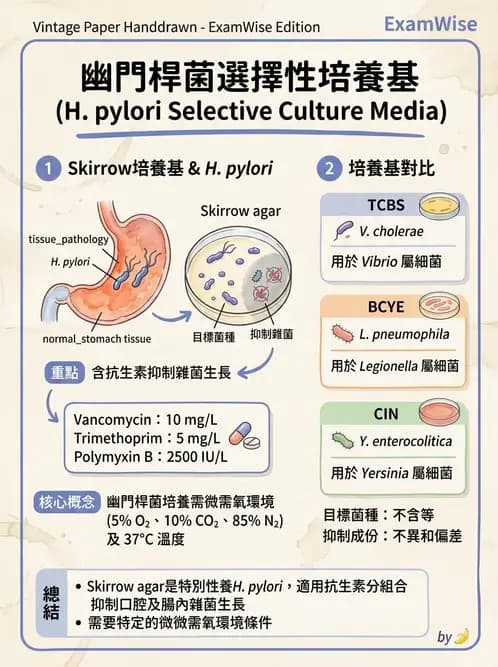 醫檢師 - 弧菌、氣單胞菌與彎曲菌 - AI 圖文解析預覽