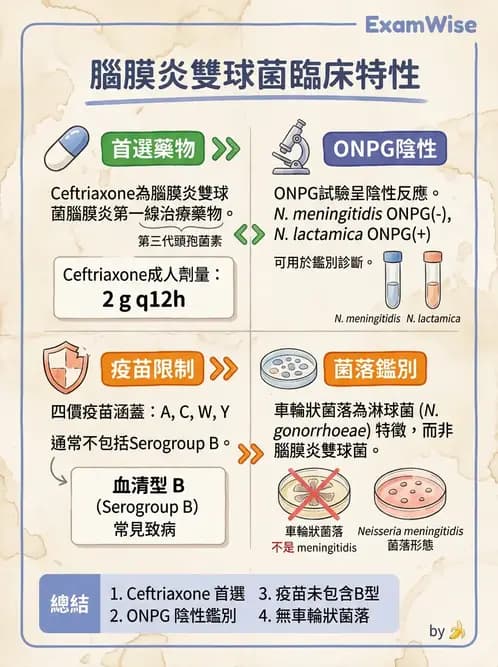 醫檢師 - 奈瑟菌與挑剔性革蘭氏陰性菌 - AI 圖文解析預覽