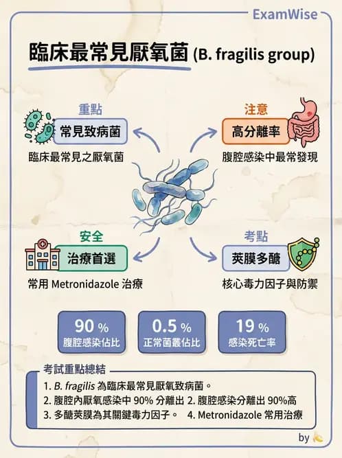 醫檢師 - 厭氧菌 - AI 圖文解析預覽