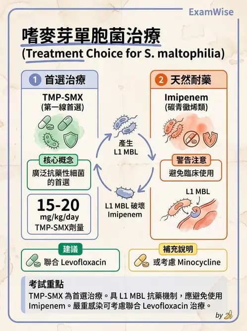 醫檢師 - 抗微生物製劑 - AI 圖文解析預覽