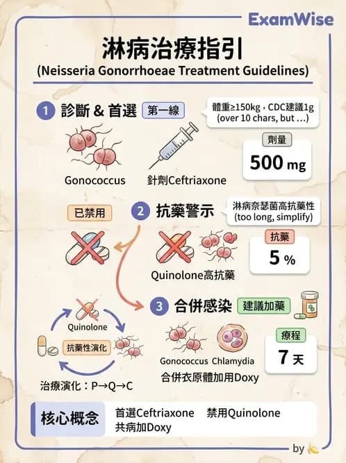 醫檢師 - 奈瑟菌與挑剔性革蘭氏陰性菌 - AI 圖文解析預覽