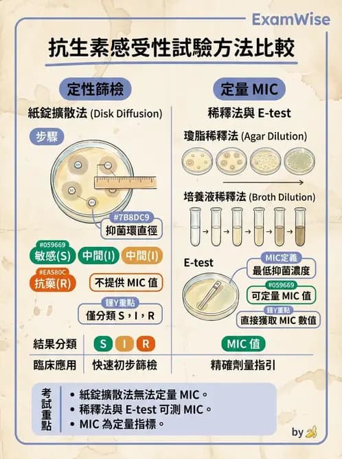 醫檢師 - 藥敏試驗方法 - AI 圖文解析預覽