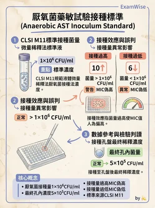 醫檢師 - 藥敏試驗方法 - AI 圖文解析預覽