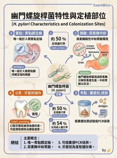 醫檢師 - 弧菌、氣單胞菌與彎曲菌 - AI 圖文解析預覽