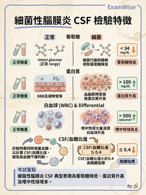 醫檢師 - 感染症與院內感染 - AI 圖文解析預覽